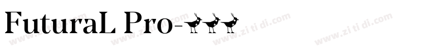 FuturaL Pro字体转换
